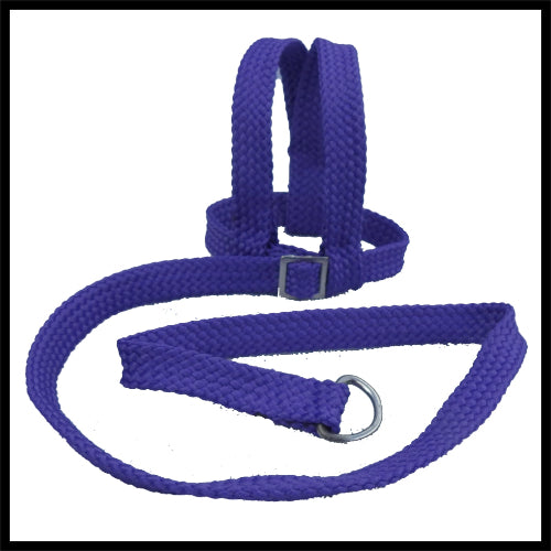 A purple woven fabric bird harness with stainless steel D-rings and adjustment buckles