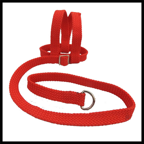 A red woven fabric bird harness with stainless steel D-rings and adjustment buckles