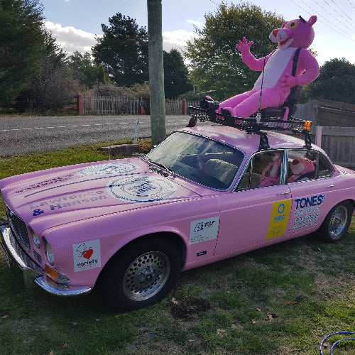 A pink classic car parked outdoors on grass, with a large pink panther figure strapped to the roof rack. The car has multiple decals and logos, including 'TONES' and 'variety'.