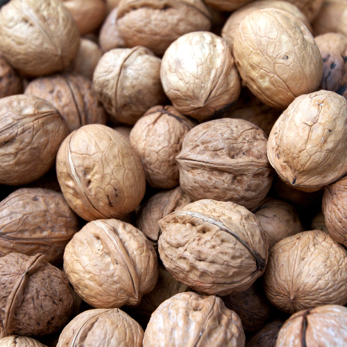 A close-up pile of whole walnuts in shell
