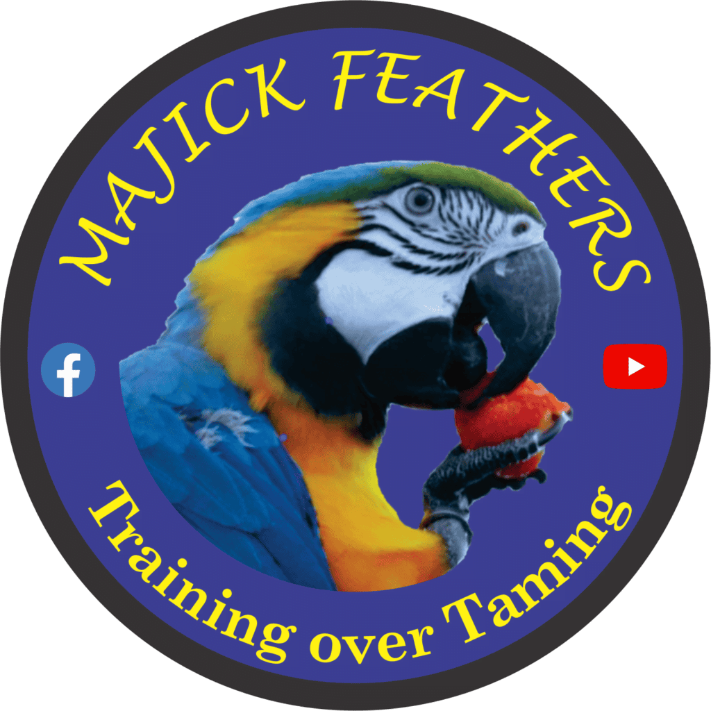 instructional-videos-majick-feathers