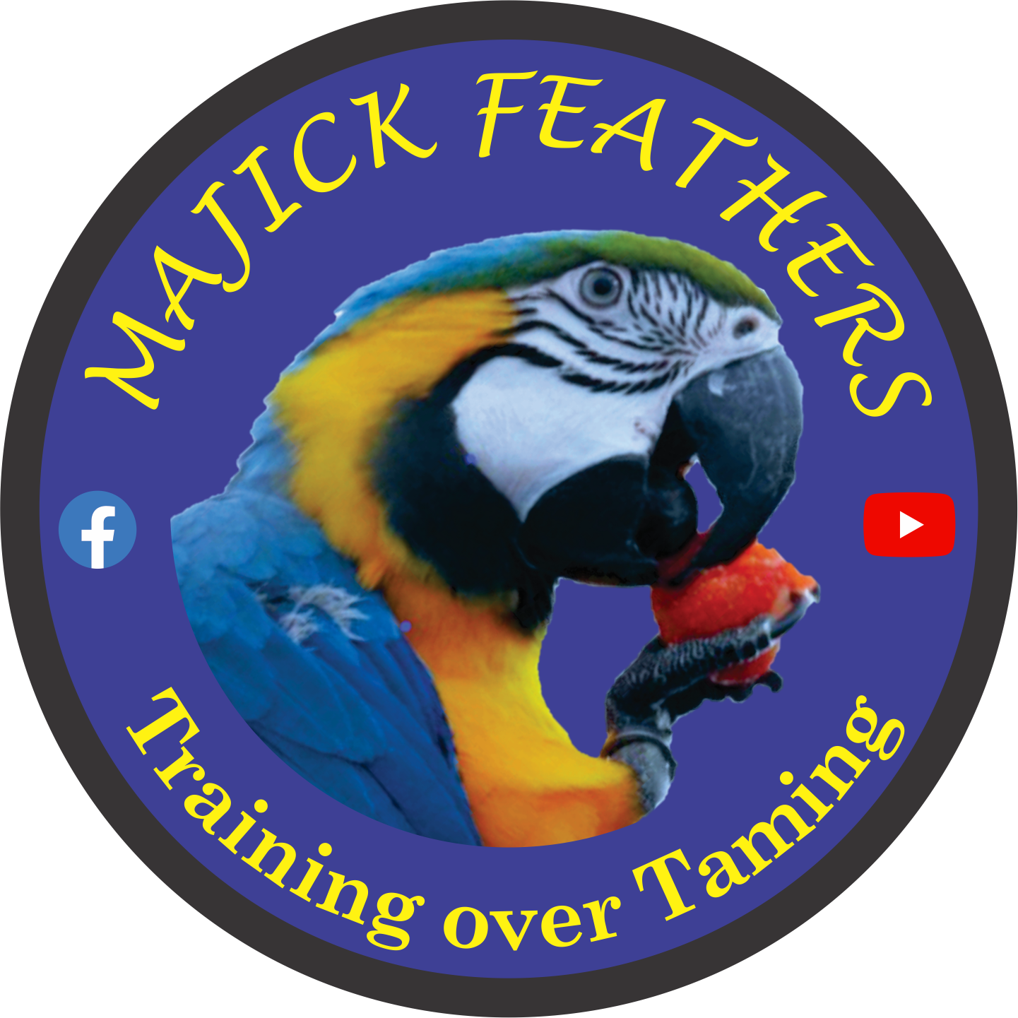 Majick Feathers logo